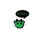 뉴셀파마코리아(주) | 혼자 뉴질랜드에서 한 달 살기 : 8, 9일 차 ; 오클랜드 외곽 Sunday Market, Devonport