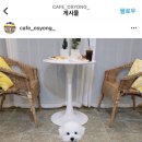 카페;오숑