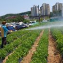 광남2동-8 이미지