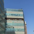 관악구보건소 | 관악구보건소 B형간염 예방접종 가격 후기