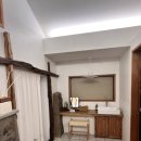 막다른 둥지 이미지