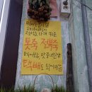 제주 봅디강