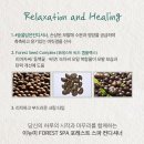 포레스트스파 이미지