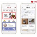 도그파파 이미지