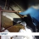 대설주의보에 굳이 도봉산 올랐다가 구조된 등산객 ㄷㄷ 이미지