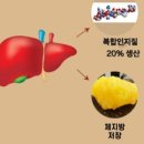 주식회사 호체 이미지