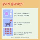 진리 동물병원 이미지