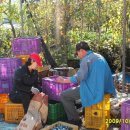 연희농장 이미지