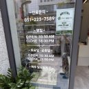 위즈펫동물병원 | [수원 동물병원] 파비오 동물병원에서 뿌꾸 5주년 기념 강아지 건강검진 후기 (ft. 간수치 폭발ㅠㅠ)