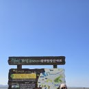 설도항 Daum카페