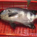 성도식당 이미지
