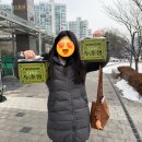 투썸플레이스 문정역점 | 투썸 문정역점 두초생 현장 구매 후기 영양정보 가격 칼로리