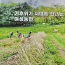 언니네텃밭 봉강공동체 이미지