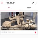 동양여성사우나 | 2주 여행 🇮🇹 폼페이, 가이드 없이 오디오 가이드로 셀프 투어 후기(+폼페이 티켓 구매 및 셔틀 타는 방법)