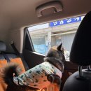 산골가마솥어탕 | 경주ㅣ가마솥족발 포장/물너울공원/키녹/이자카야샷타/도깨비명당/롯뽄기/어탕명가