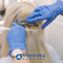 석헤어디자인