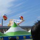 황토애