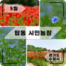 탑동농장 티스토리