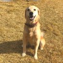 씻겨줄개 이미지