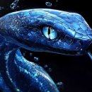 푸른컴퓨터 이미지