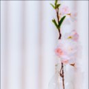 에이바이드 (Abide) 이미지