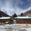 영감사 Daum카페