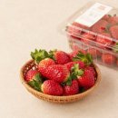 ❌️품절❌️ 이마트 새벽배송) 딸기 🍓 500g *2팩 13090원 정보 이미지