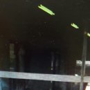 청룡공인중개사사무소 이미지