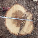 은평-050 이미지