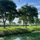 삼락생태공원 이미지