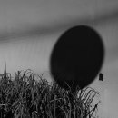 모노톤(MONO TONE)