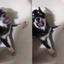 화들짝
