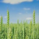 영보한의원 이미지