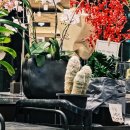 우리꽃집&카페 이미지