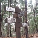지천빈대떡