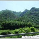 현대자동차 정주공장 산야초사랑동호회 6월10일 정기약초여행 공지(천등산) 이미지