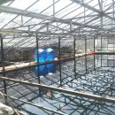 광릉금리원 이미지