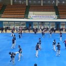 팀태권도&스포츠 이미지