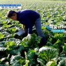 홍규농장 이미지