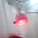 경희메트로한의원 이미지