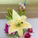 제주안안민박 이미지