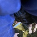 아쿠아카페(AQUA CAFE) 이미지