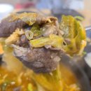 고양이숲 이미지