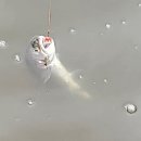 남창낚시터 이미지