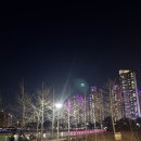 1075 | 광교 애견동반 이자카야