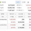 매달 20만원씩 꾸준히 슨피 나스닥 사는중 이미지
