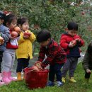 천사농장 이미지