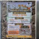 (주)인천1339에이엠에스 | 인천 서창동 실내동물원 쥬벅스 아이랑 가볼 만한 곳 후기