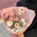 라플라너리 이미지