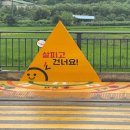 옐로카펫 이미지